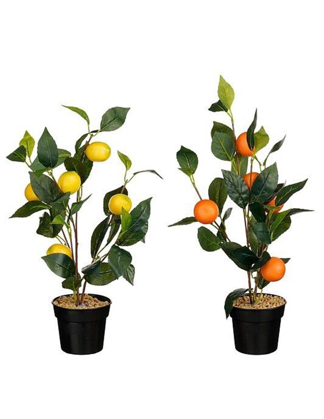 Δέντρο λεμονιά/πορτοκαλιά σε κασπώ Φ18 Η45cm