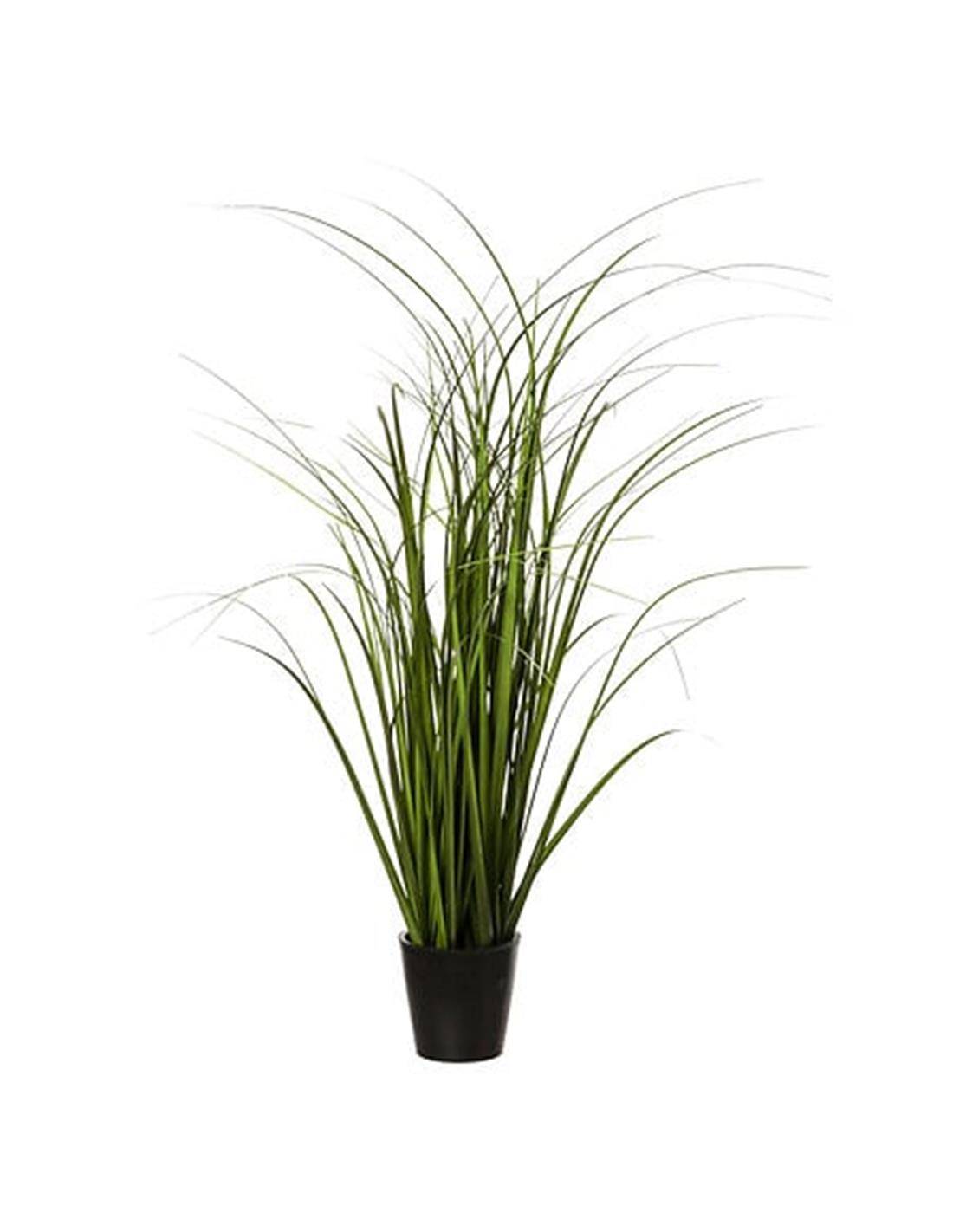 Φυτό σε κασπώ  Φ9,5Η58cm