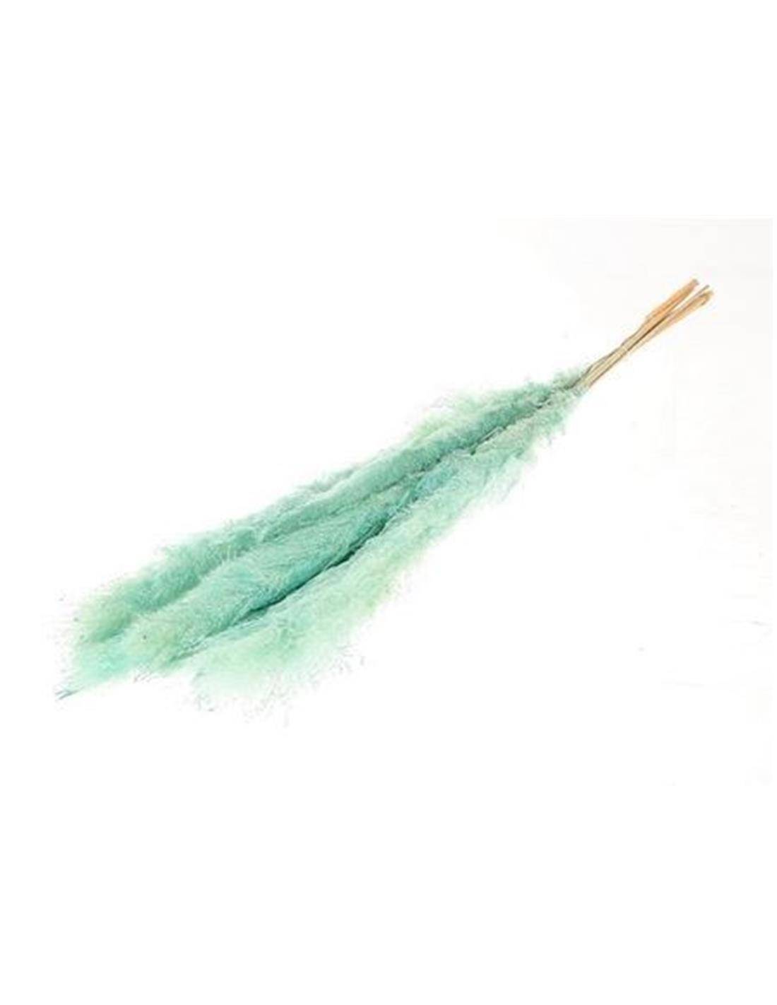 Gynerium κλαδί  βεραμάν 5τμχ Η120cm