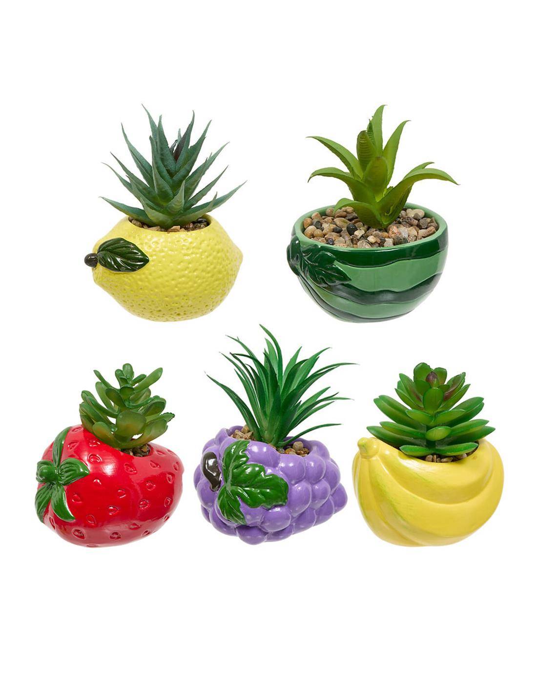 Κασπώ φρούτα με φυτό 11x10x9cm