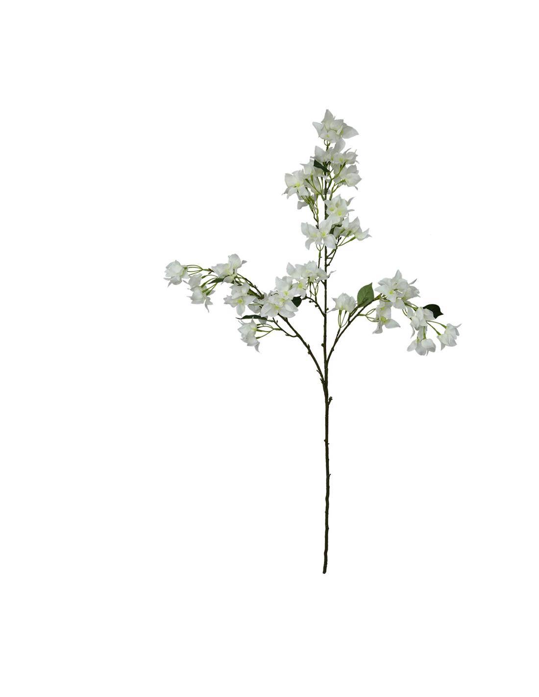 Κλαδί βουκαμβίλια λευκή 34x10x104cm
