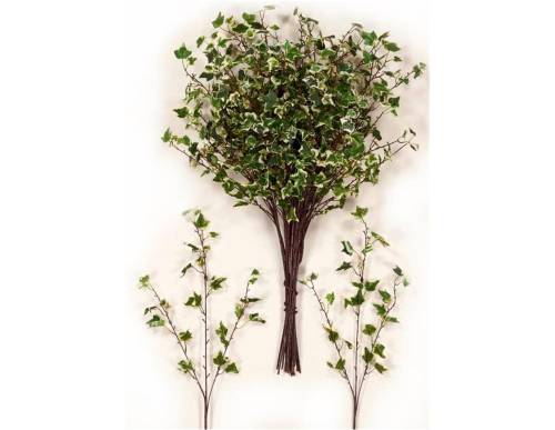 Κλαδί κισσός δίχρωμος 80cm