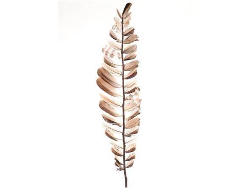 Κλαδί με πούπουλα Η100cm