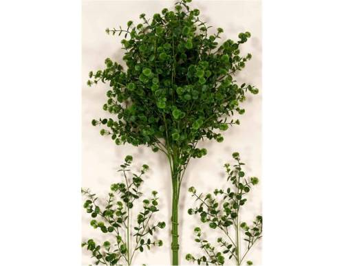 Κλαδί πρασινάδα