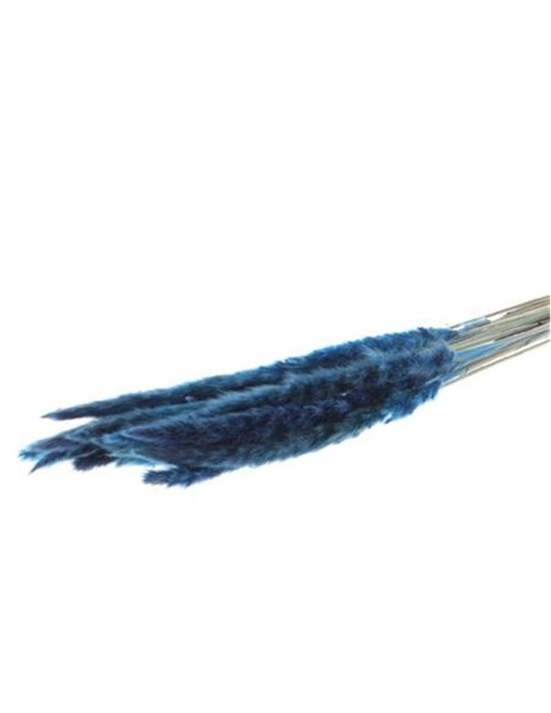 Κλαδιά Pampas 70gr μπλε