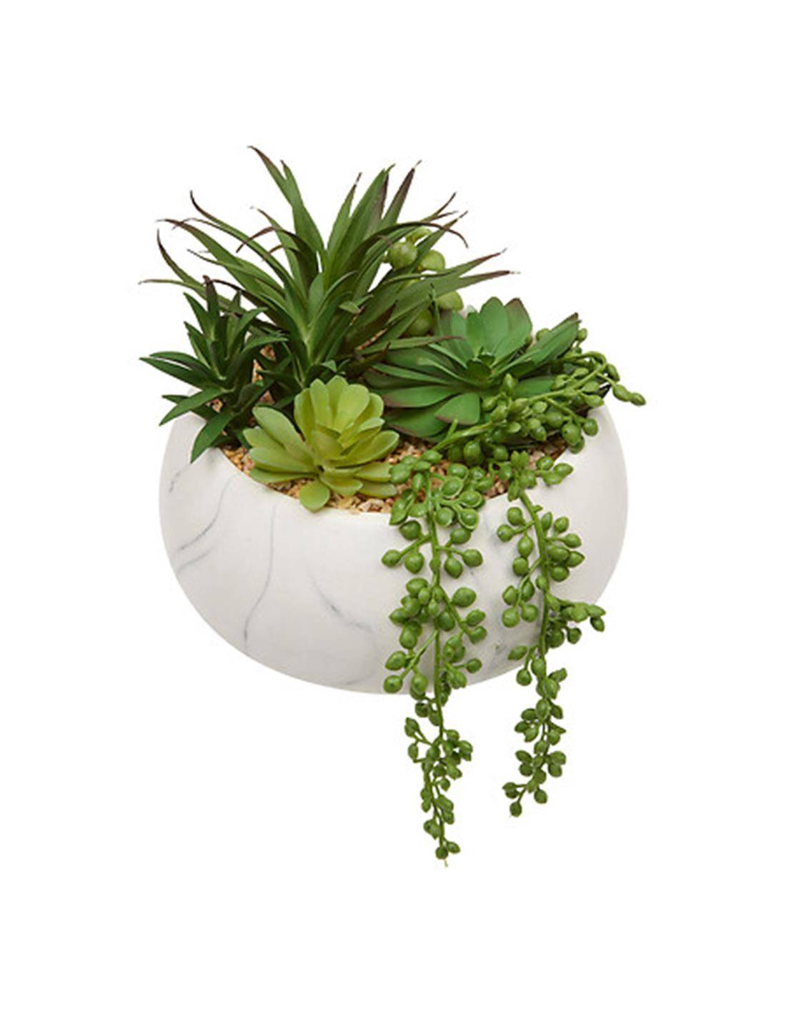 Παχύφυτα σε λευκό κεραμ.κασπώ 21 x 18 x 21 cm