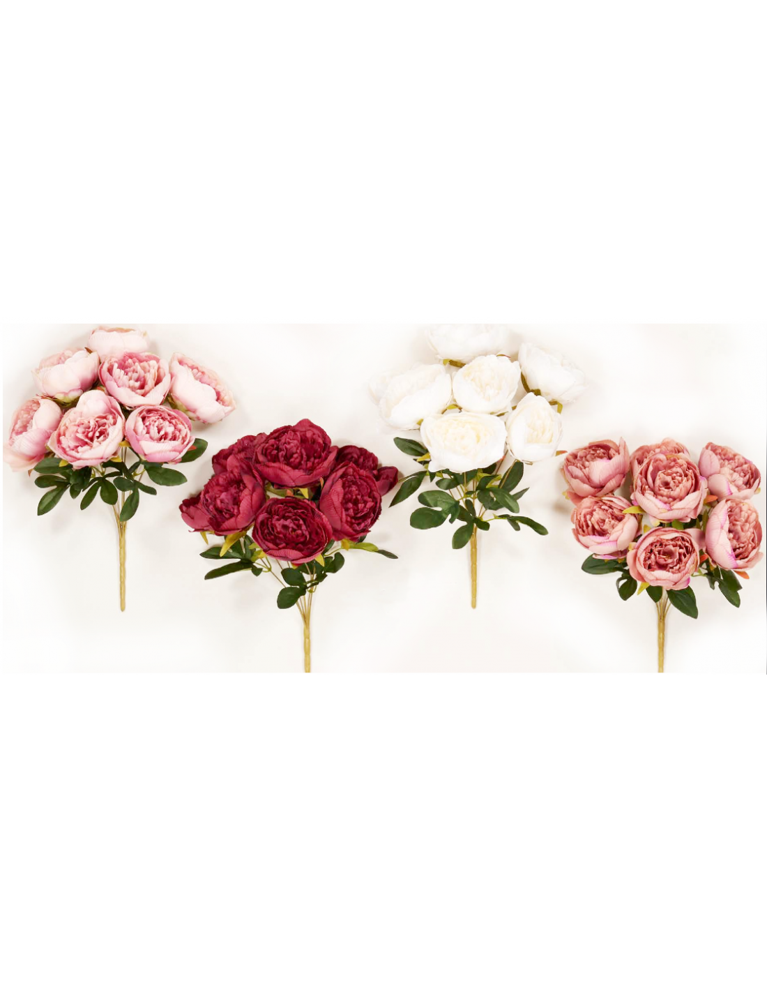 Ρίζα πεόνια 44cm