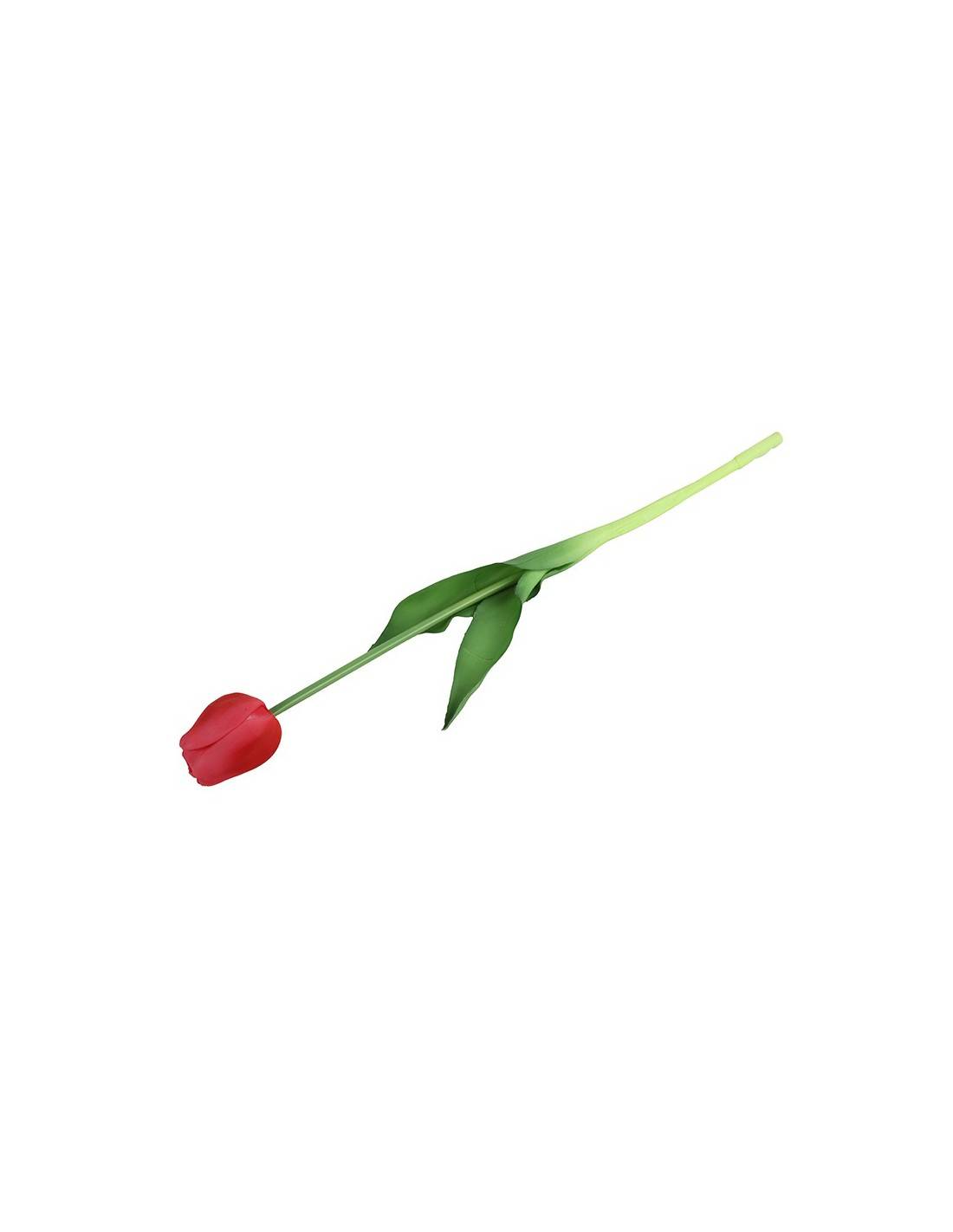 Τουλίπα κλαδί φούξια  44εκ.