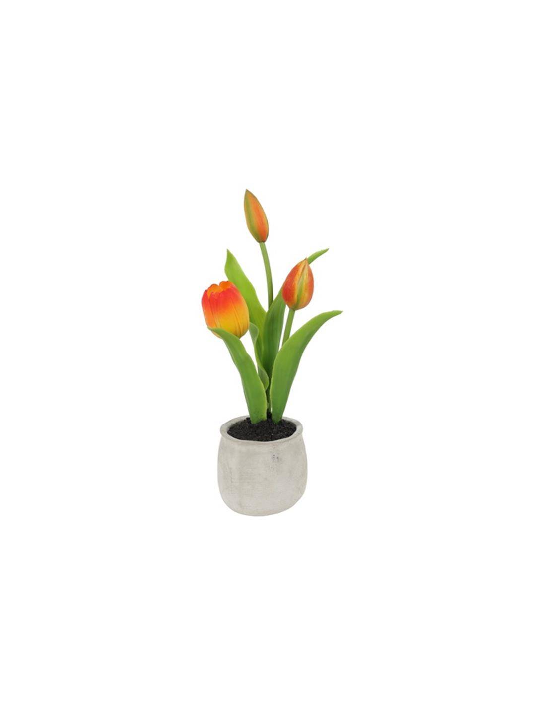 Τουλίπες πορτοκαλί σε κασπώ Φ9Η26,5cm