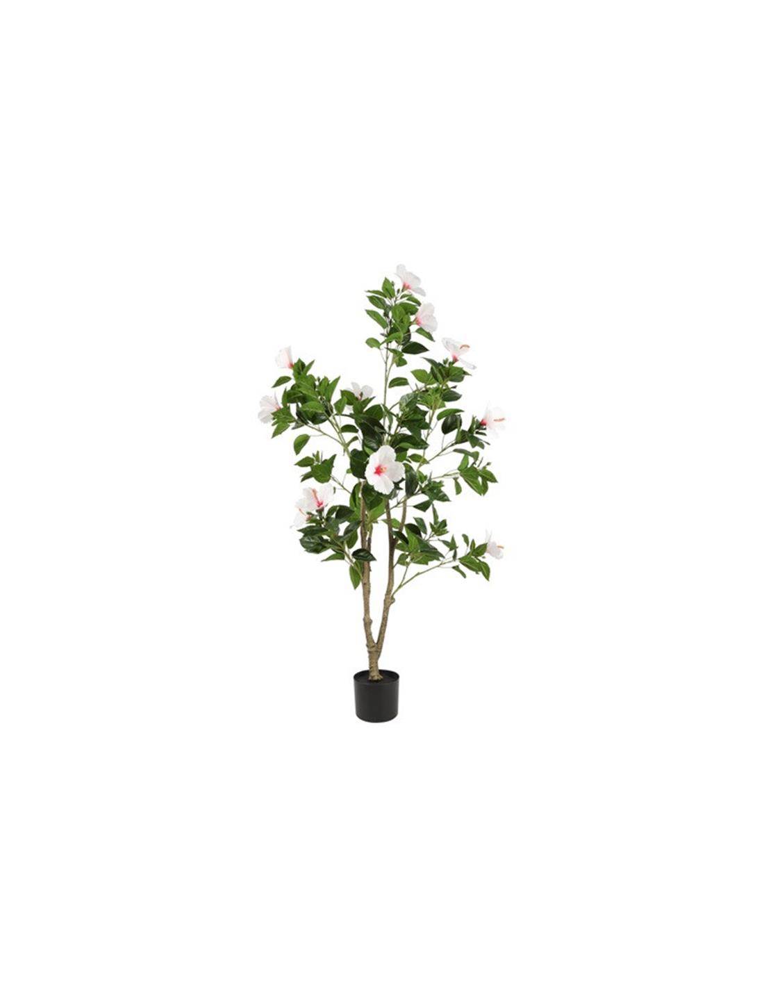 Υβίσκος λευκός σε κασπώ 60x145εκ.