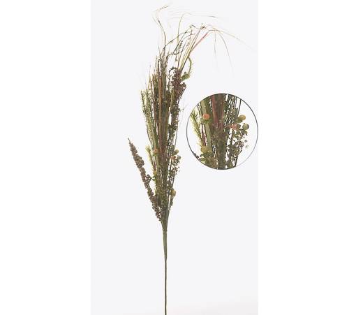 Κλαρί Grass Berries 85cm LW506