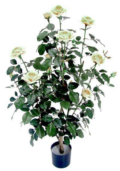 Τριανταφυλλιά Vendela X 16 Τριαντάφυλλα 96cm LX259