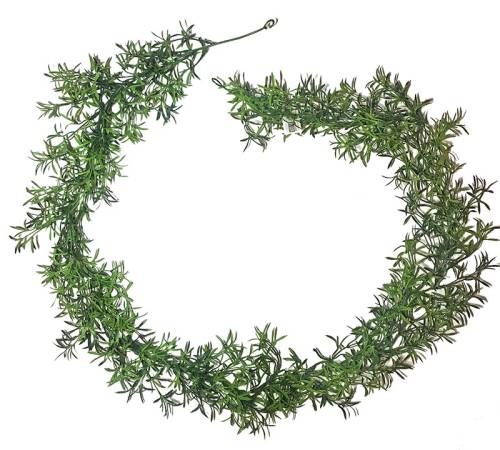 Καλλωπιστικό σπαράγγι,γιρλάντα 170cm BM110