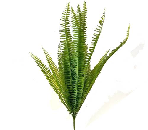 Φύλλα φτέρης σε μάτσο,72cm FL141