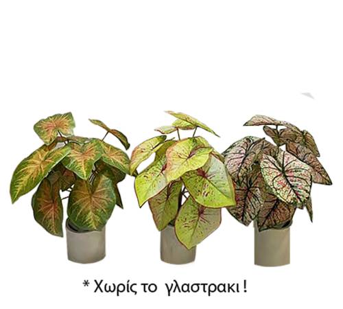 Φυτό συγγόνιο σε 3 χρμ.,35cm FL146