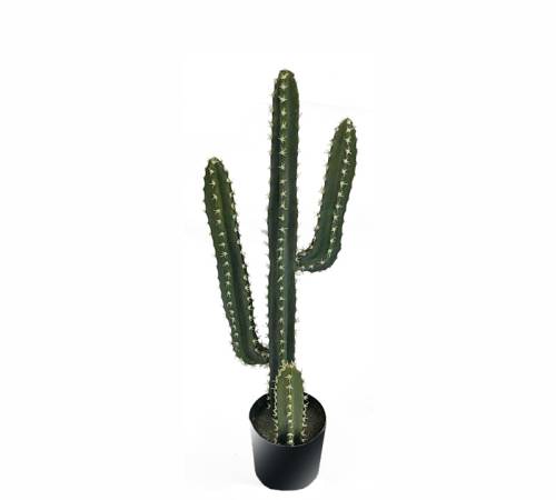 Κάκτος Arizona σε κασπώ,65cm FL149