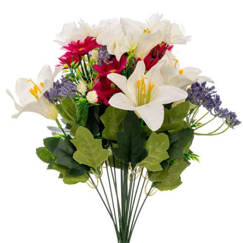 ΡΙΖΑ ΚΡΙΝΟΣ ΑΓΡΙΟΛΟΥΛΟΥΔΟ ΣΥΝΘΕΣΗ 42 εκ.