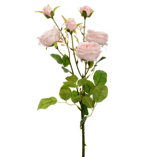 ΡΟΖ ΚΛΑΔΙ ΤΡΙΑΝΤΑΦΥΛΛΟ Χ6 66ΕΚ