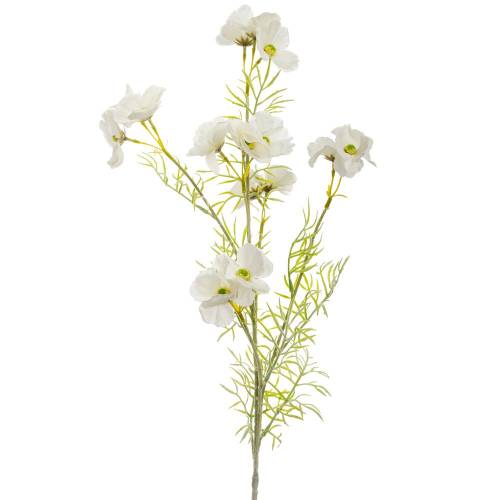 ΛΕΥΚΟ ΚΛΑΔΙ ΑΝΕΜΩΝΗ 78ΕΚ