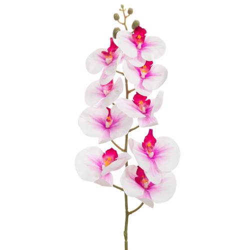ΛΕΥΚΟ-ΛΙΛΑ ΟΡΧΙΔΕΑ ΚΛΑΔΙ 90ΕΚ