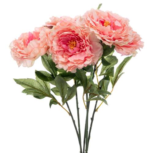 ΡΟΖ ΜΠΟΥΚΕΤΟ ΧΡΥΣΑΝΘΕΜΟ 55ΕΚ Χ5