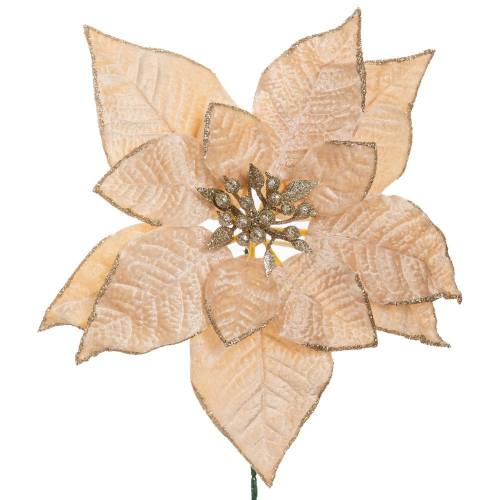 ΣΑΜΠΑΝΙ ΑΛΕΞΑΝΔΡΙΝΟ ΠΙΚ Φ22Χ24ΕΚ