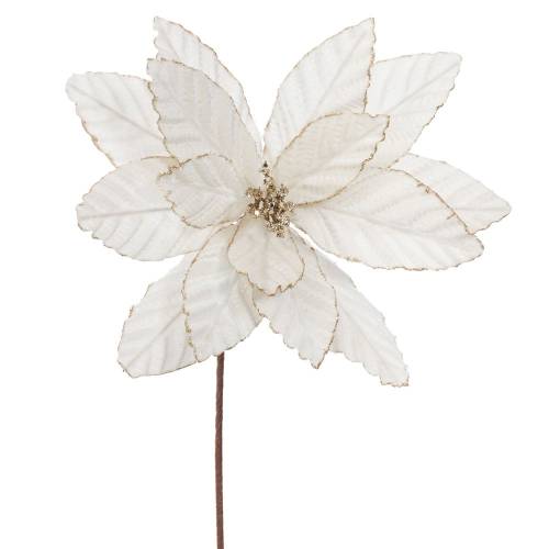 ΙΒΟΥΑΡ ΒΕΛΟΥΔΙΝΟ ΑΛΕΞΑΝΔΡΙΝΟ 60ΕΚ