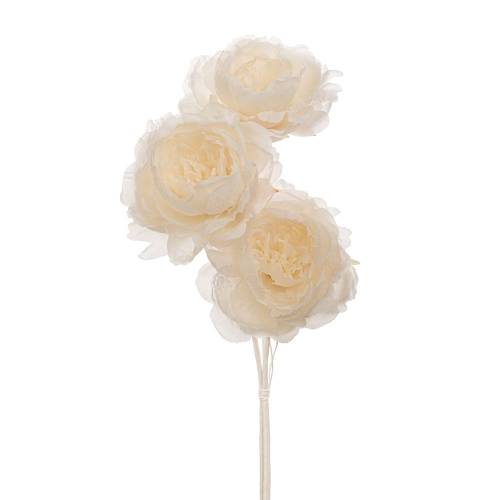 ΚΡΕΜ ΜΠΟΥΚΕΤΟ DAVID AUSTIN ΤΡΙΑΝΤΑΦΥΛΛΟ Χ3 65ΕΚ.