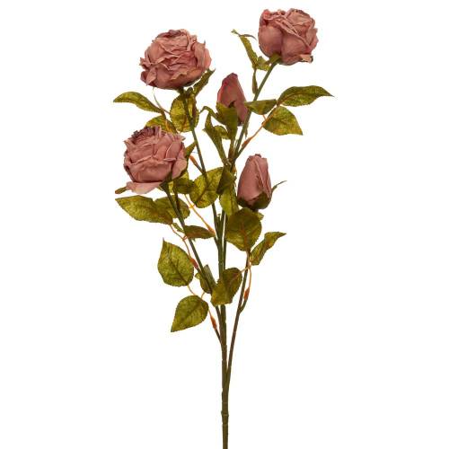 ΣΑΠΙΟ ΜΗΛΟ ΚΛΑΔΙ ΤΡΙΑΝΤΑΦΥΛΛΟ 70ΕΚ Χ5