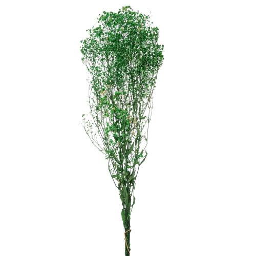 ΠΡΑΣΙΝΟ ΜΠΟΥΚΕΤΟ ΓΥΨΟΦΙΛΛΗ 120gr