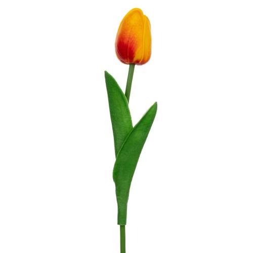 ΠΟΡΤΟΚΑΛΙ ΚΛΑΔΙ ΤΟΥΛΙΠΑ 33ΕΚ