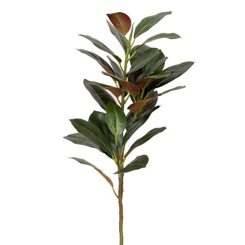 ΠΡΑΣΙΝΟ ΚΛΑΔΙ ΦΙΚΟΣ ΓΙΓΑΣ 135ΕΚ