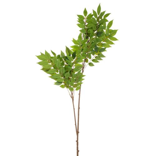 ΠΡΑΣΙΝΟ ΚΛΑΔΙ ΑΚΑΚΙΑ ΓΙΓΑΣ 105ΕΚ