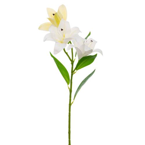 ΛΕΥΚΟ ΛΙΛΙΟΥΜ  ΚΛΑΔΙ Χ3 70ΕΚ ΜΕ UV ΠΡΟΣΤΑΣΙΑ