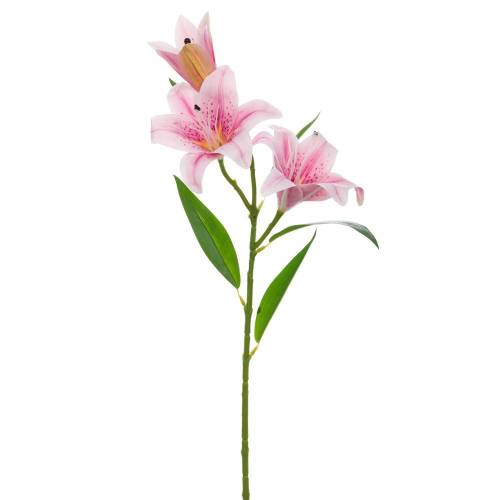 ΡΟΖ ΛΙΛΙΟΥΜ ΚΛΑΔΙ Χ3 70ΕΚ ΜΕ UV ΠΡΟΣΤΑΣΙΑ