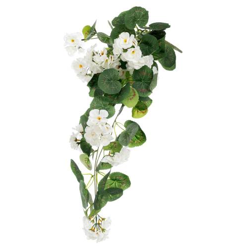 ΡΙΖΑ ΜΟΛΟΧΑ ΚΡΕΜΑΣΤΗ ΛΕΥΚΗ 62ΕΚ Χ11