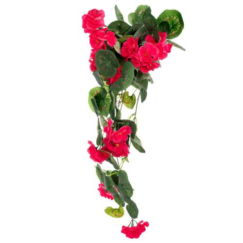 ΡΙΖΑ ΜΟΛΟΧΑ ΚΡΕΜΑΣΤΗ ΚΟΚΚΙΝΗ 62ΕΚ Χ11