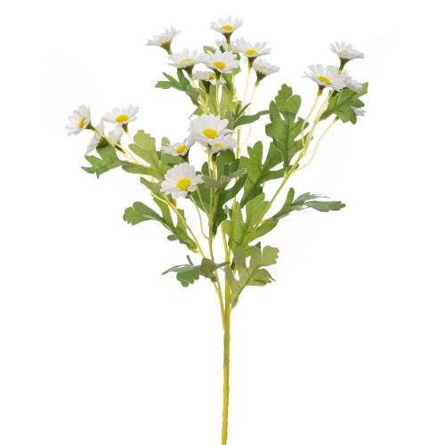 ΚΛΑΔΙ ΜΑΡΓΑΡΙΤΕΣ ΛΕΥΚΕΣ 55ΕΚ Χ5