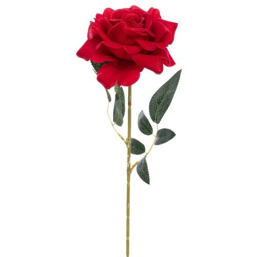 ΤΡΙΑΝΤΑΦΥΛΛΟ ΚΟΚΚΙΝΟ ΒΕΛΟΥΔΟ 76ΕΚ Χ1