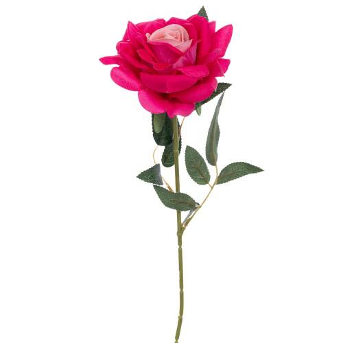 ΤΡΙΑΝΤΑΦΥΛΛΟ ΡΟΖ ΒΕΛΟΥΔΟ 76ΕΚ Χ1