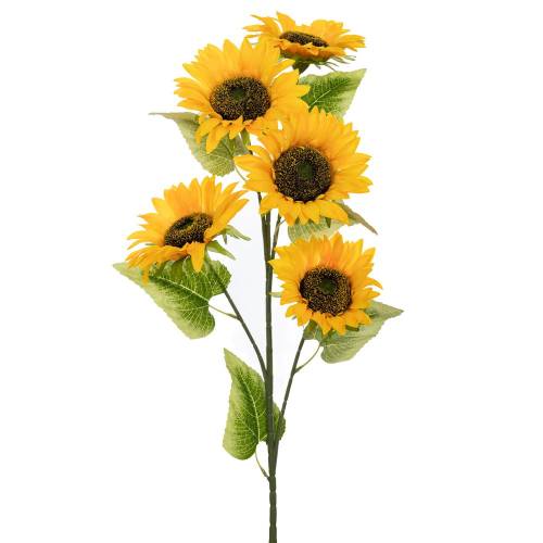 ΚΛΑΔΙ ΗΛΙΟΣ 102ΕΚ Χ5