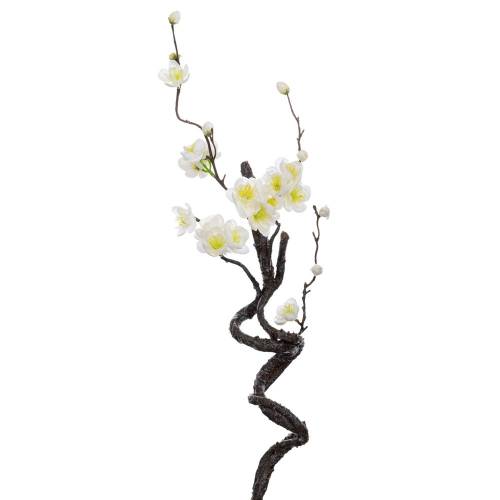 ΑΜΥΓΔΑΛΙΑ ΛΕΥΚΗ 40ΕΚ