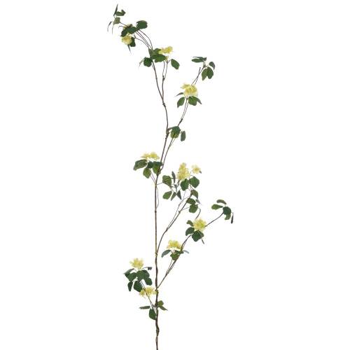 ΚΛΑΔΙ ΠΡΑΣΙΝΟ ΜΕ ΨΙΛΟΛΟΥΔΟ 116ΕΚ ΔΙΑΚΟΣΜΗΤΙΚΟ