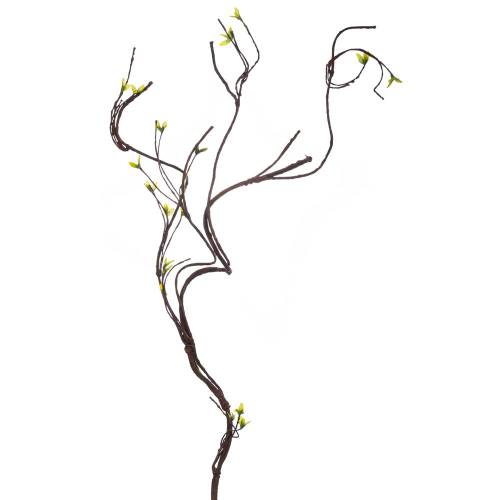 ΚΛΙΜΑΤΣΙΔΑ 131ΕΚ ΜΕ ΠΡΑΣΙΝΑ ΑΝΘΑΚΙΑ