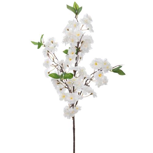 ΚΛΑΔΙ ΚΕΡΑΣΙΑ 94ΕΚ ΛΕΥΚΗ