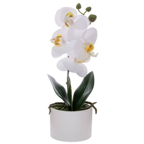 ΛΕΥΚΗ ΟΡΧΙΔΕΑ PHALAENOPSIS ΣΕ ΛΕΥΚΟ ΚΕΡΑΜΙΚΟ ΚΑΣΠΩ 28ΕΚ