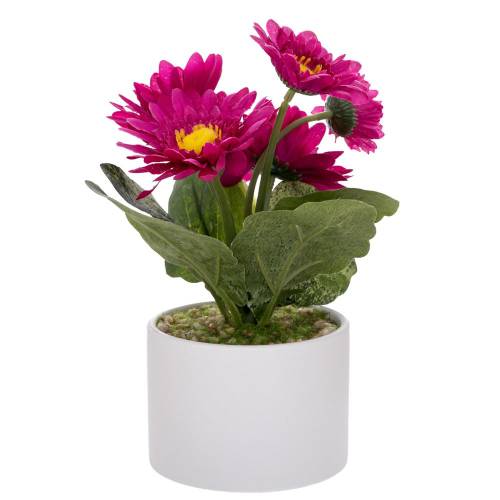 ΦΟΥΞΙΑ ΖΕΡΜΠΕΡΑ ΣΕ ΛΕΥΚΟ ΚΕΡΑΜΙΚΟ ΓΛΑΣΤΡΑΚΙ 20ΕΚ