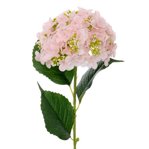 ΚΛΑΔΙ ΜΕ ΡΟΖ ΟΡΤΑΝΣΙΑ REAL TOUCH Φ18Χ61,5ΕΚ