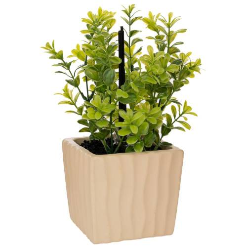 ΠΡΑΣΙΝΑΔΑ ΣΕ ΚΕΡΑΜΙΚΟ ΚΑΣΠΩ ΜΑΖΙ ΜΕ ΑΡΩΜΑΤΙΚΟ (JADE DRAGON TEA FRAGRANCE) 15Χ12Χ27ΕΚ