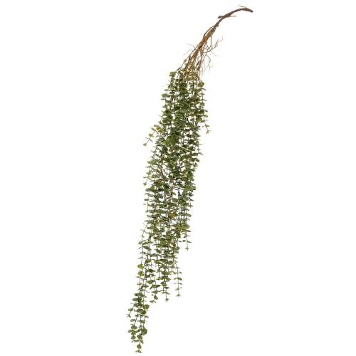 ΚΡΕΜΑΣΤΗ ΡΙΖΑ ΕΥΚΑΛΥΠΤΟΣ 100ΕΚ ΠΡΑΣΙΝΗ